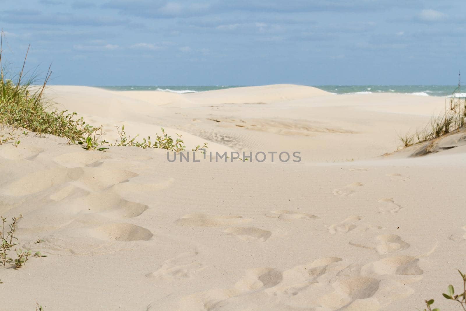 Coastal dunes by arinahabich