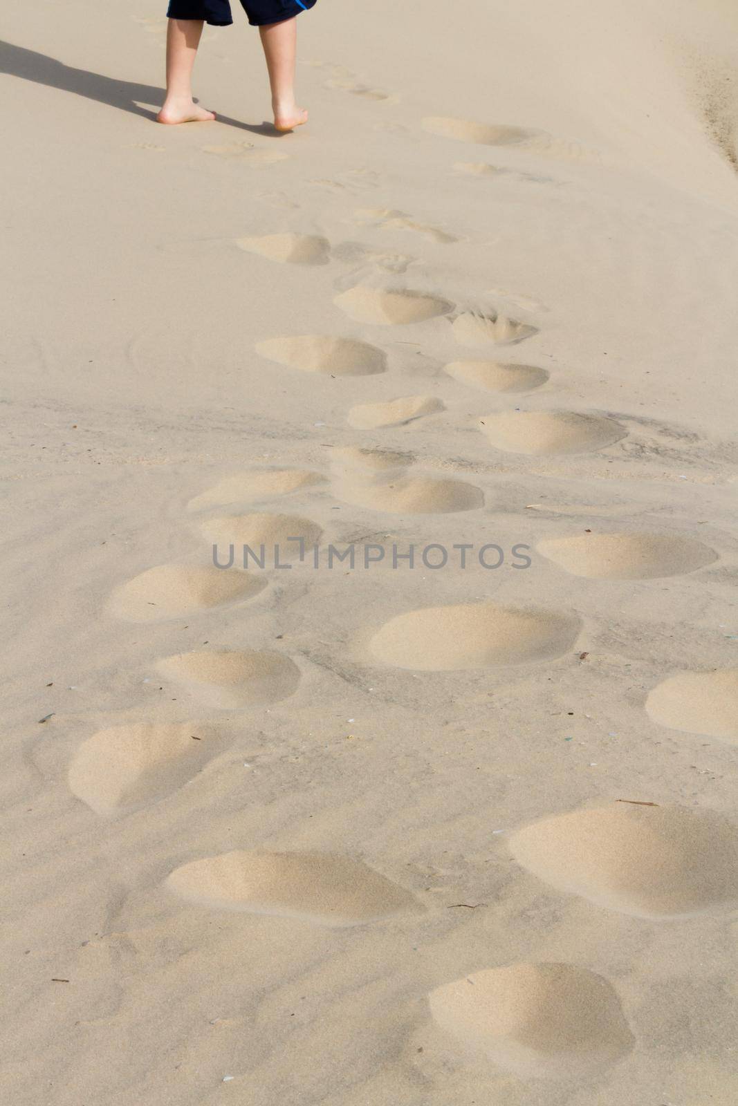 Footprints in sand of coastal dunes.