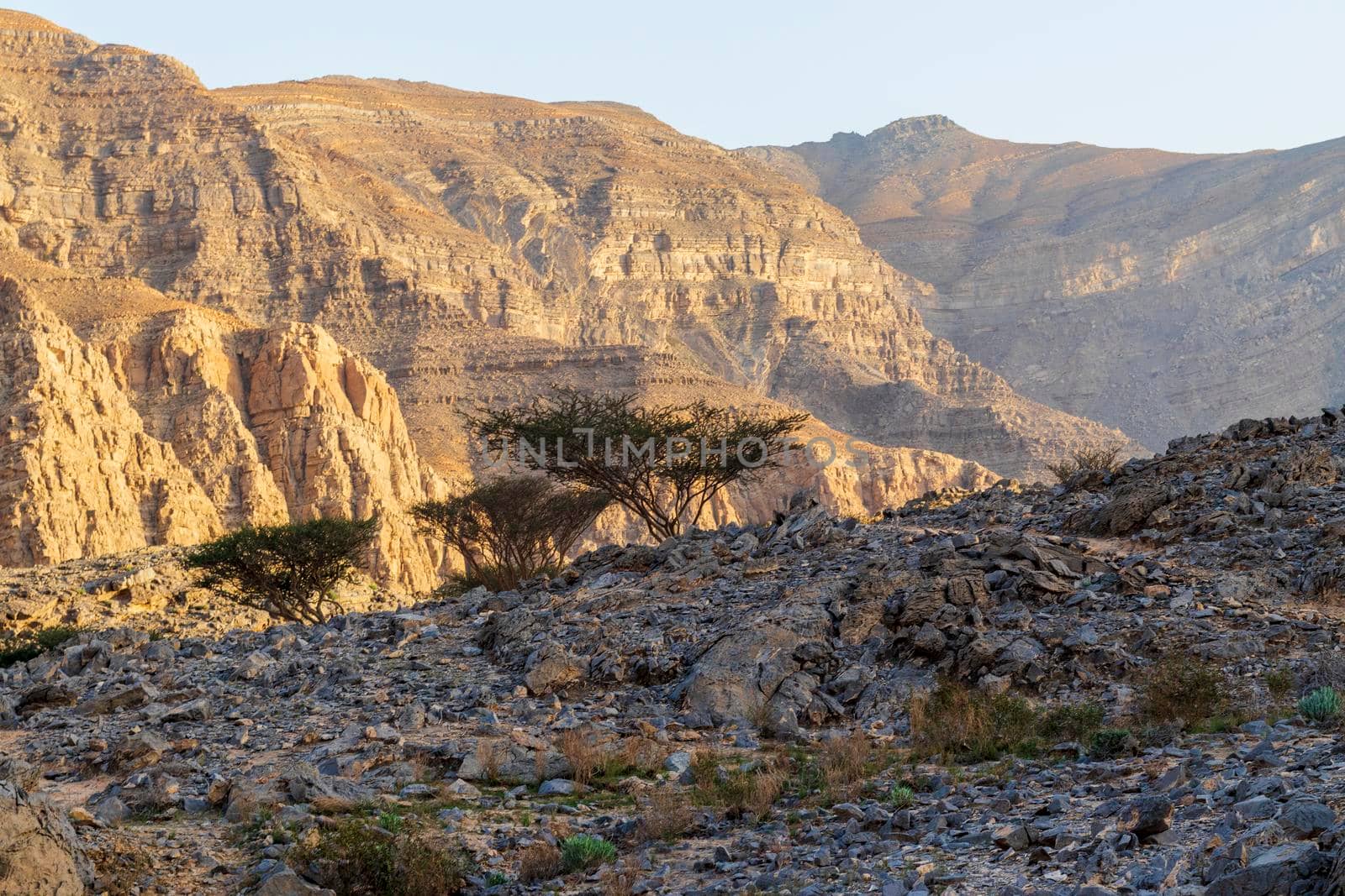 Landscape shot of the mountains in bright day