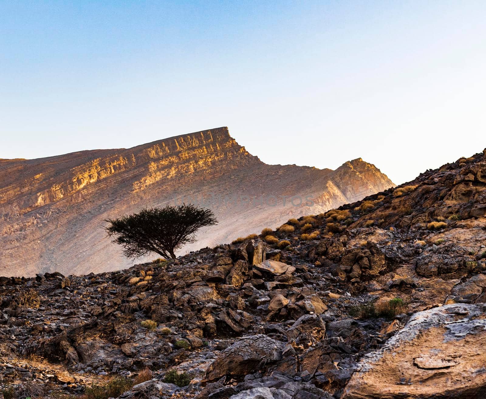 Landscape shot of the mountains in bright day