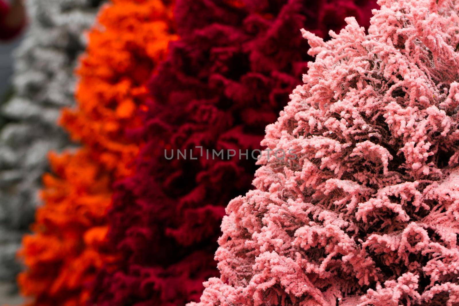 Flocked Christmas Tree with multi colors.