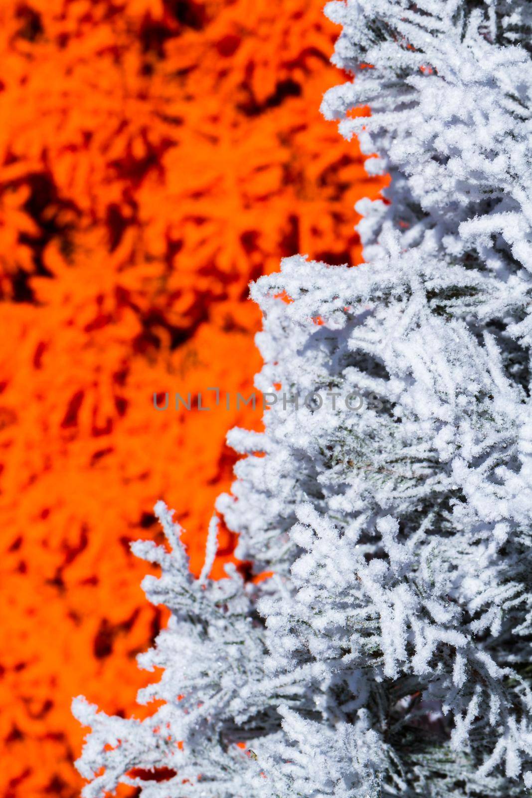 Flocked Christmas Tree with multi colors.