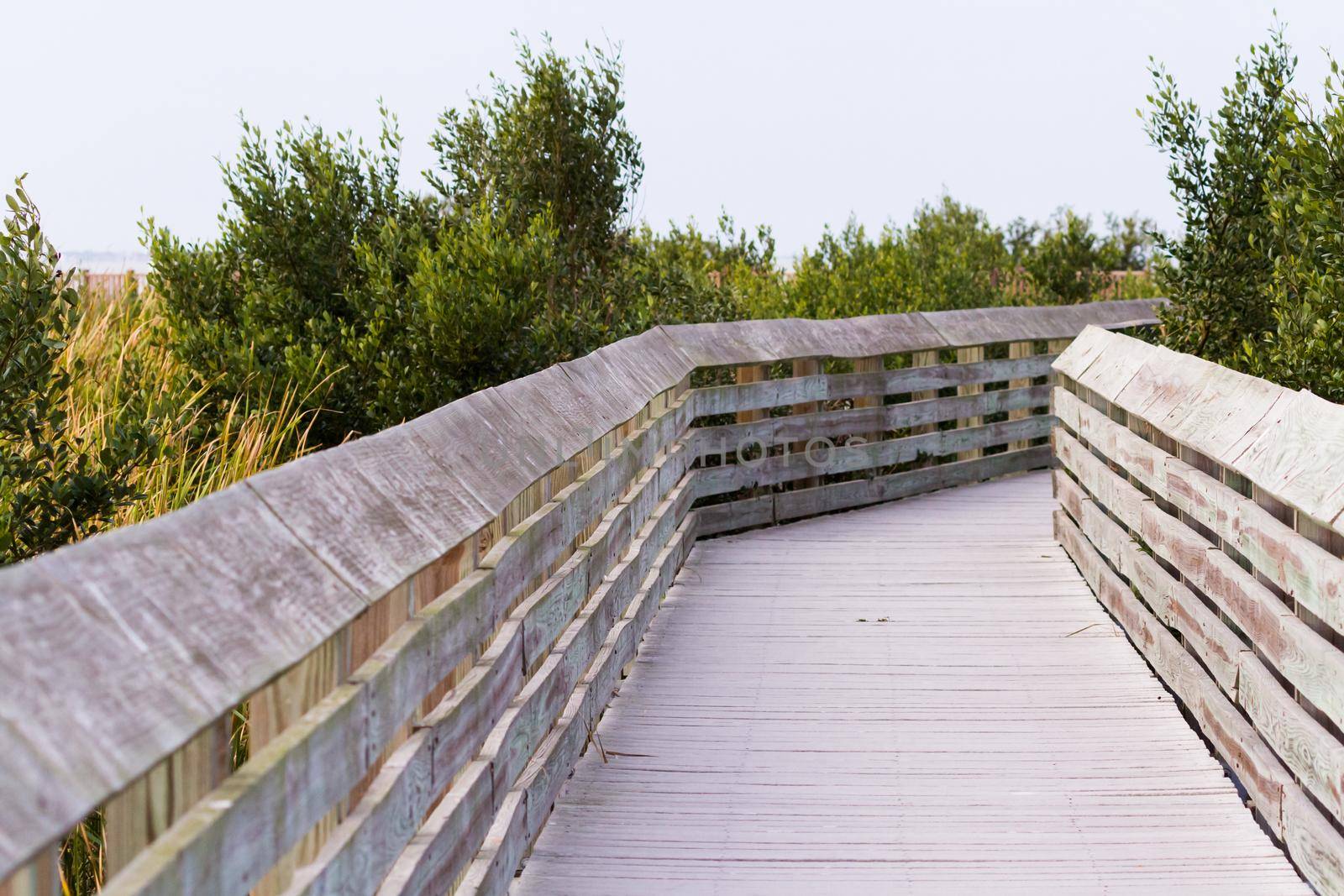 Board walk on South Padre Island, TX.