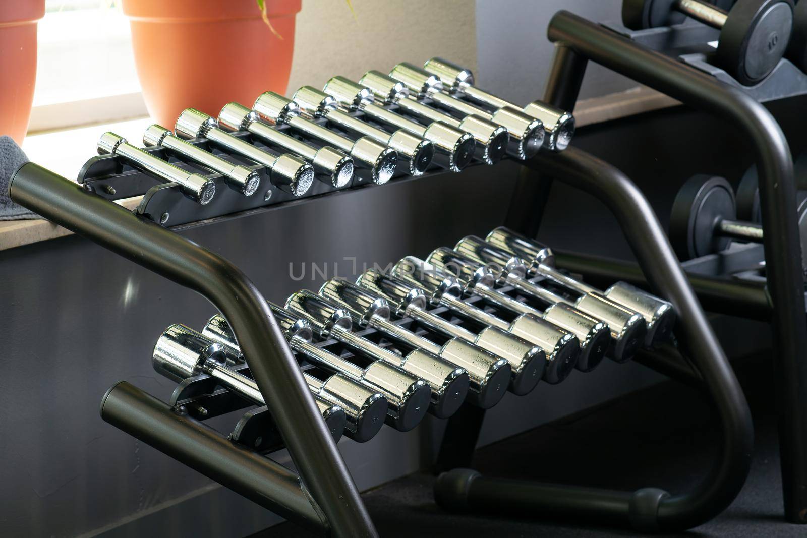 Stand many dumbbell gym fitness set club workout power, from strong lifting from bodybuilding from healthy resistance, lift interior. Concept professional kilograms, by 89167702191