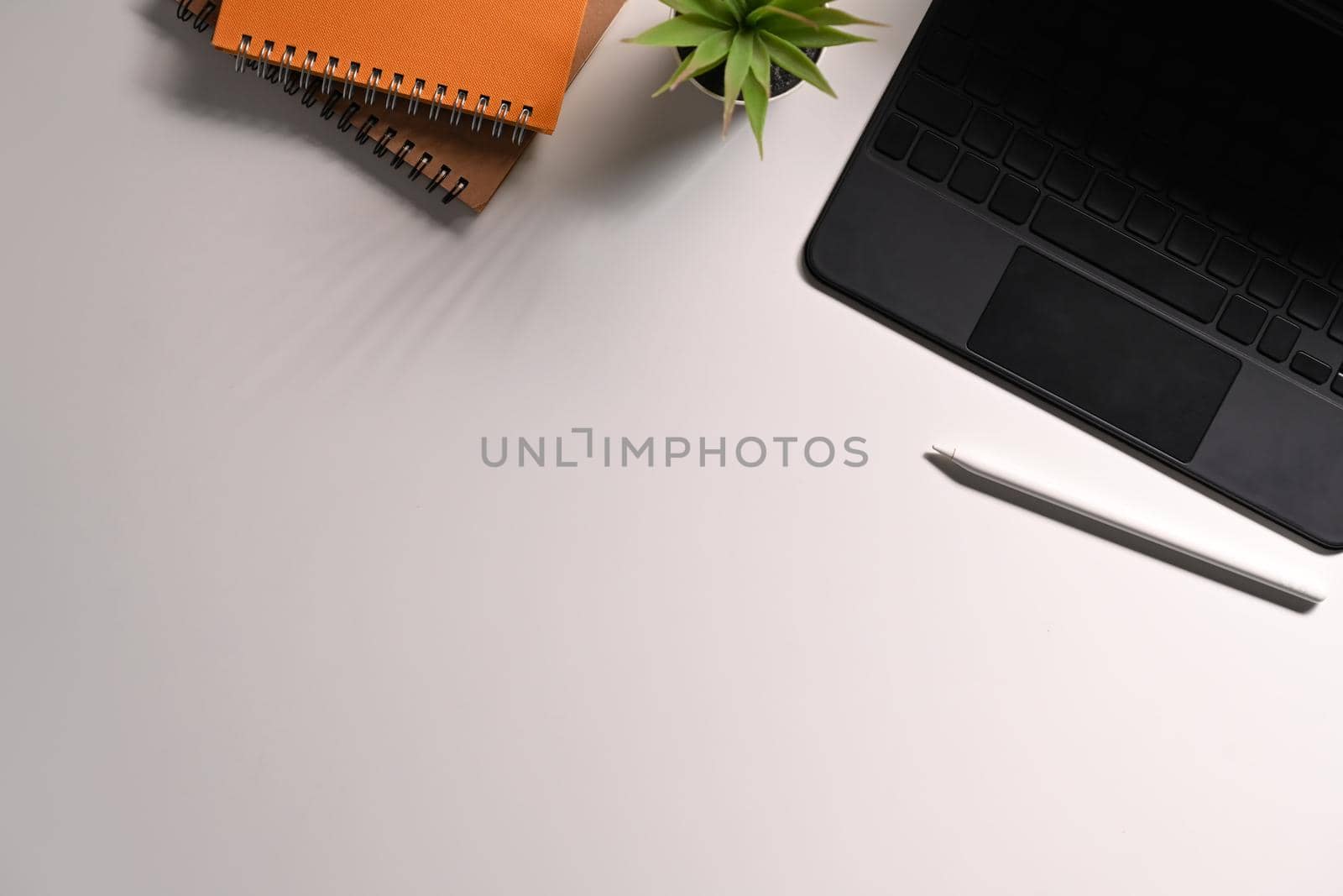 Top view laptop computer, notebook and succulent plants on white table. Empty, copy space for your text by prathanchorruangsak