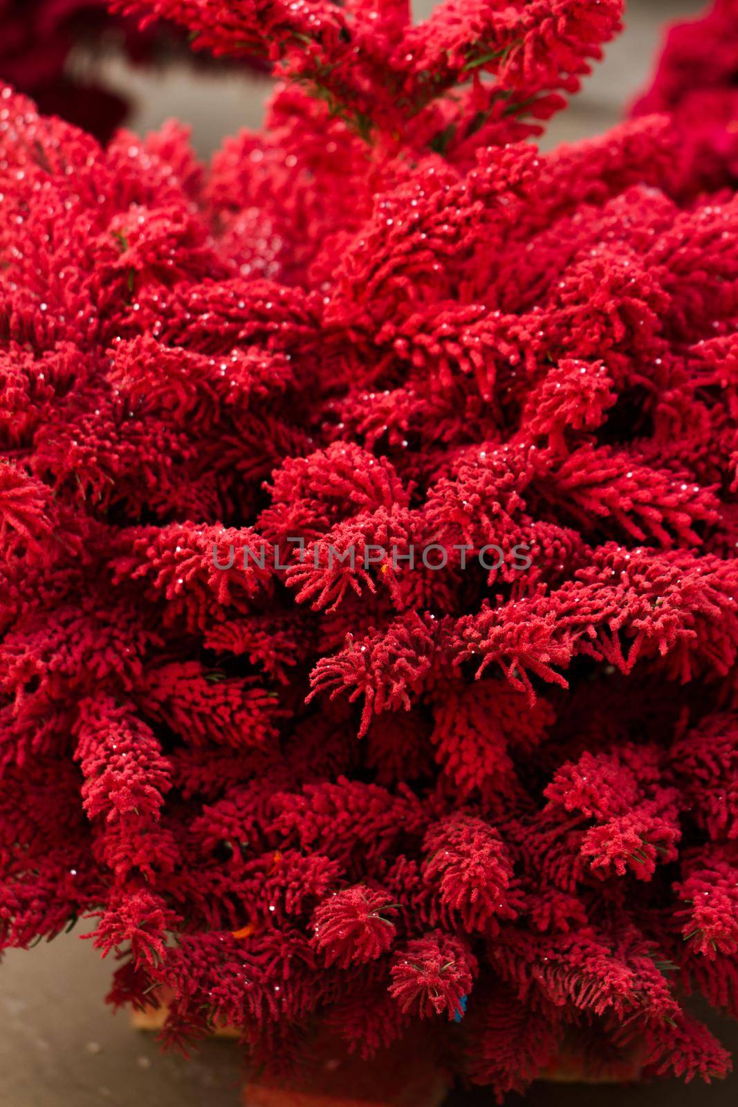 Flocked Christmas Tree with multi colors.