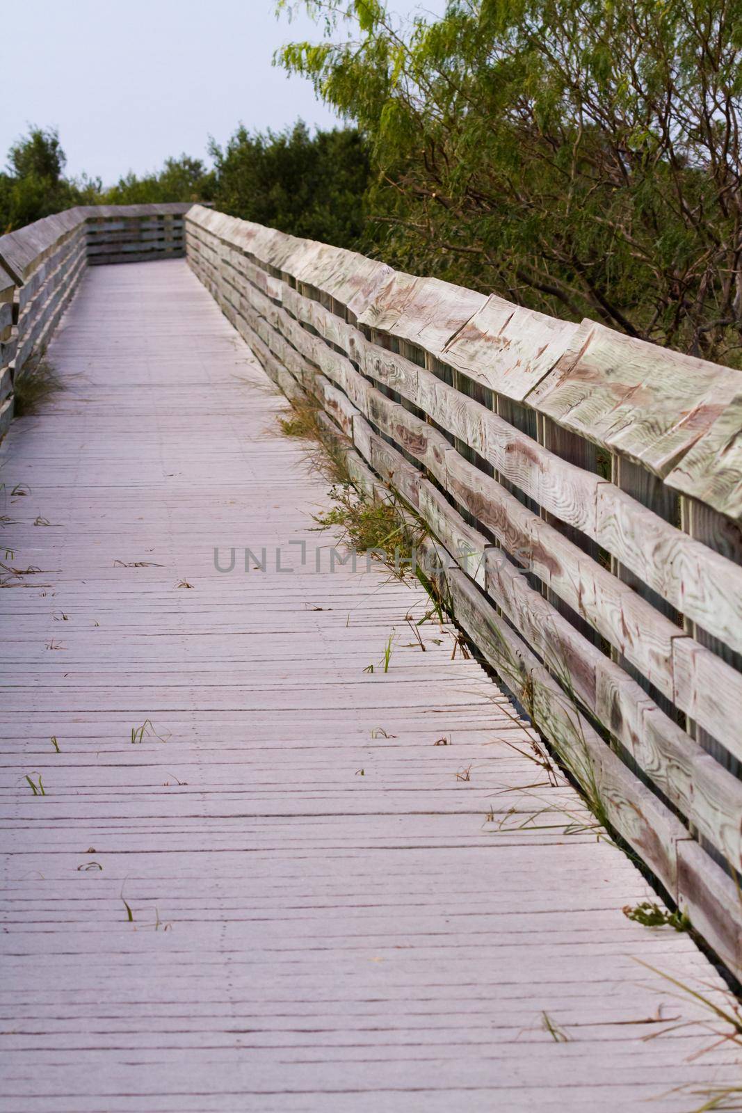 Board walk on South Padre Island, TX.