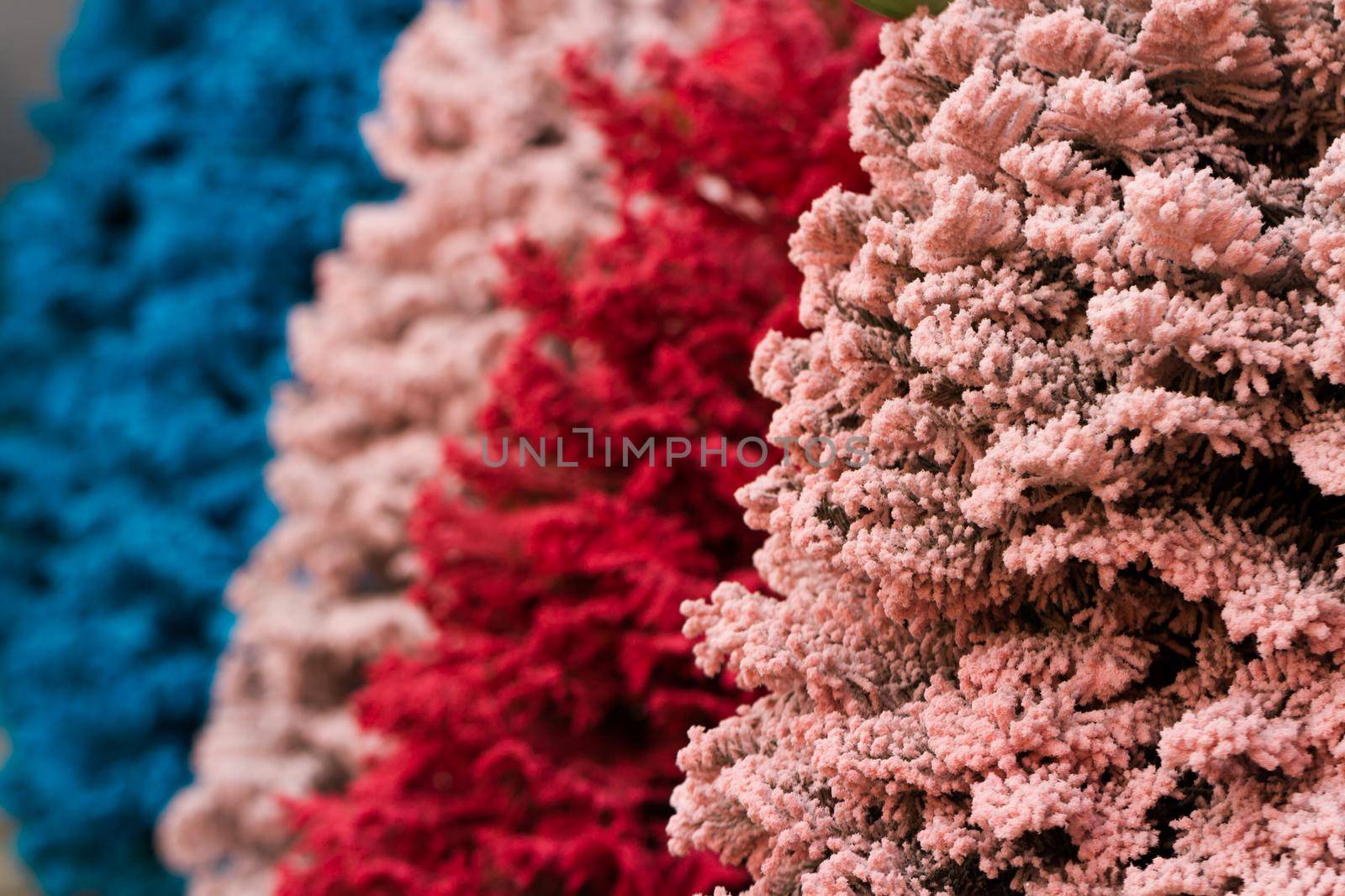 Flocked Christmas Tree with multi colors.