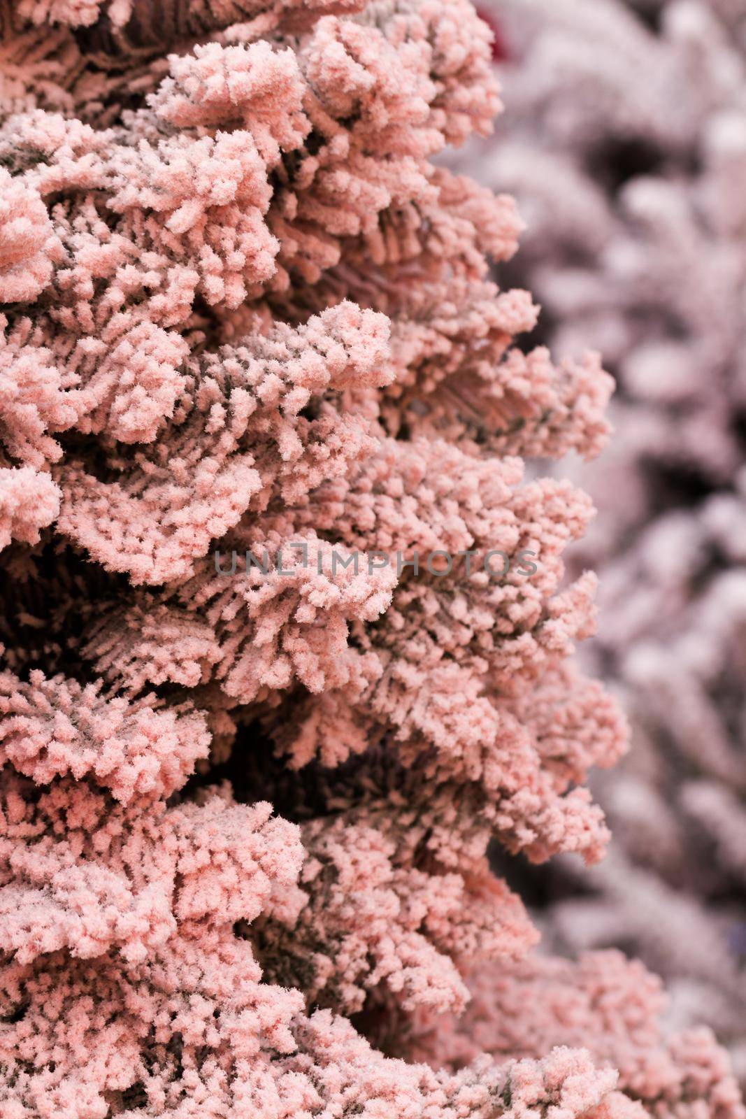 Flocked Christmas Tree with multi colors.