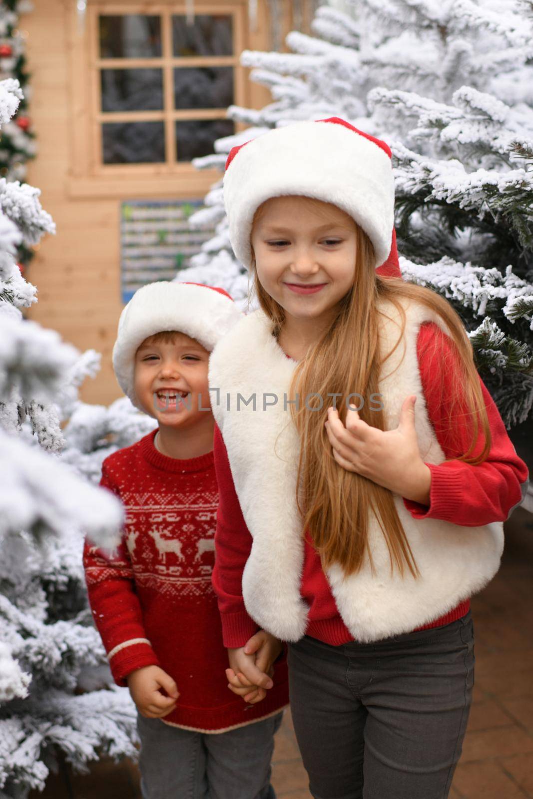 Children choose a Christmas tree at a market.