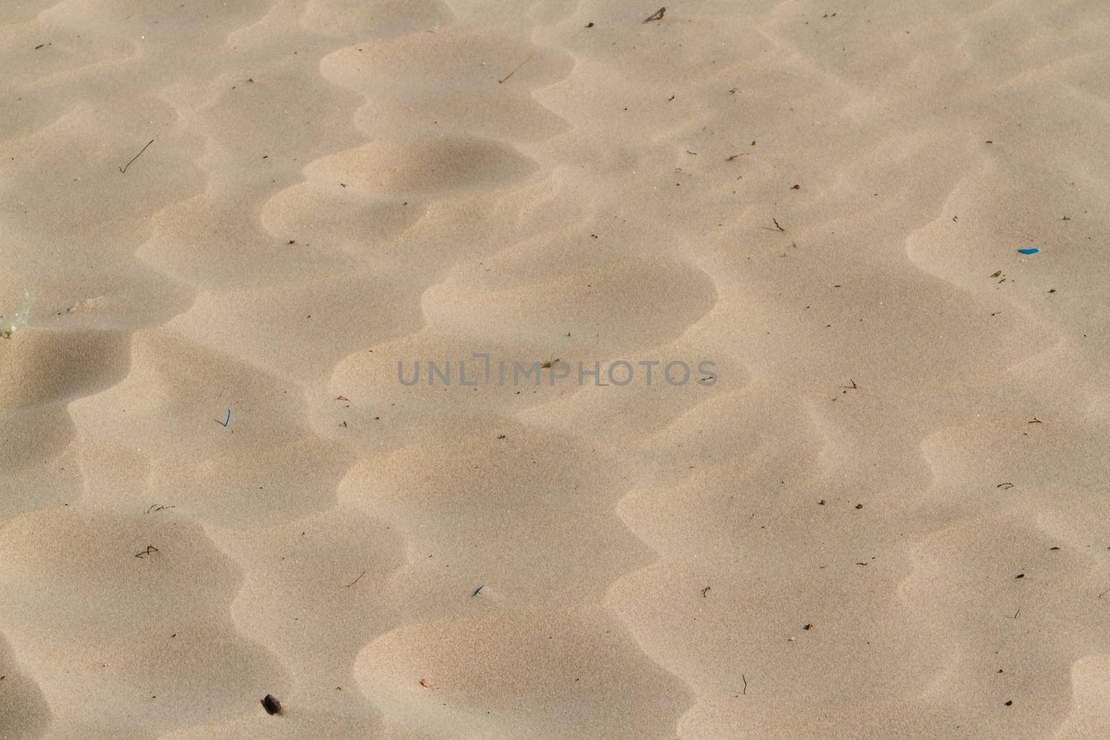 Patterns in the sand on South Padre Island, TX.