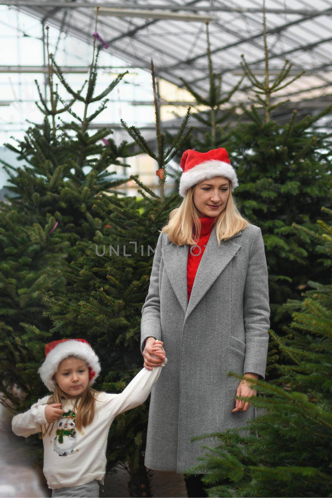 Mother and daughter choose a Christmas tree in a shop by Godi