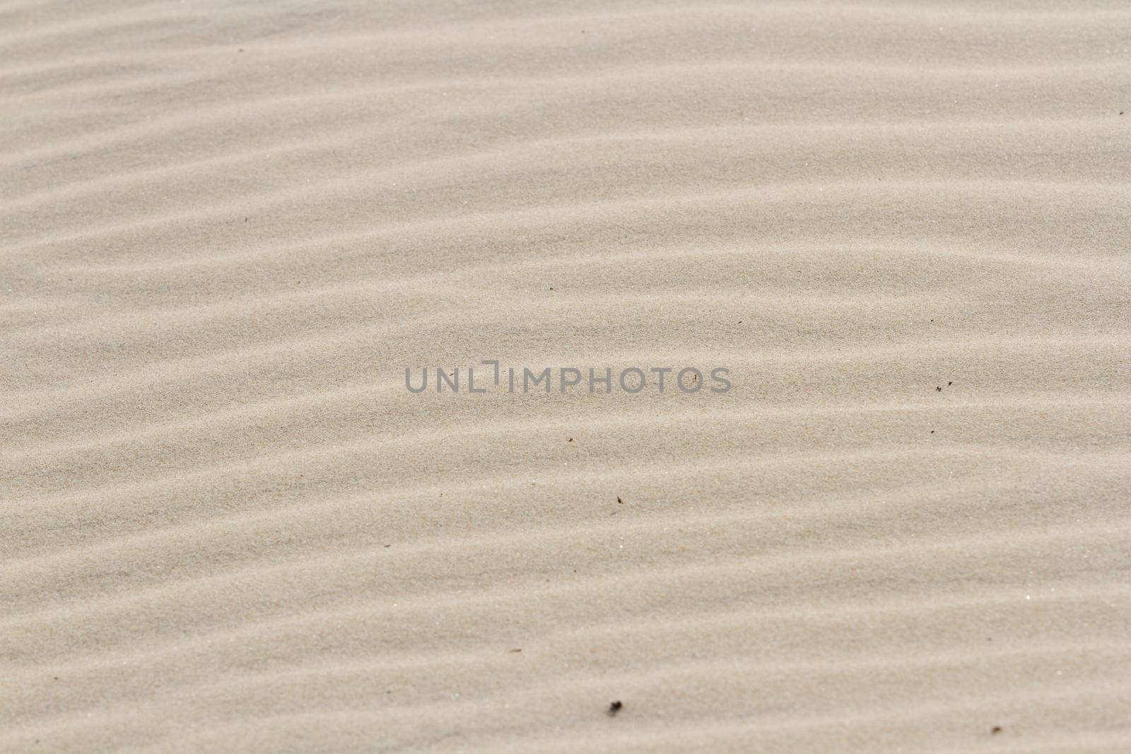 Patterns in the sand on South Padre Island, TX.