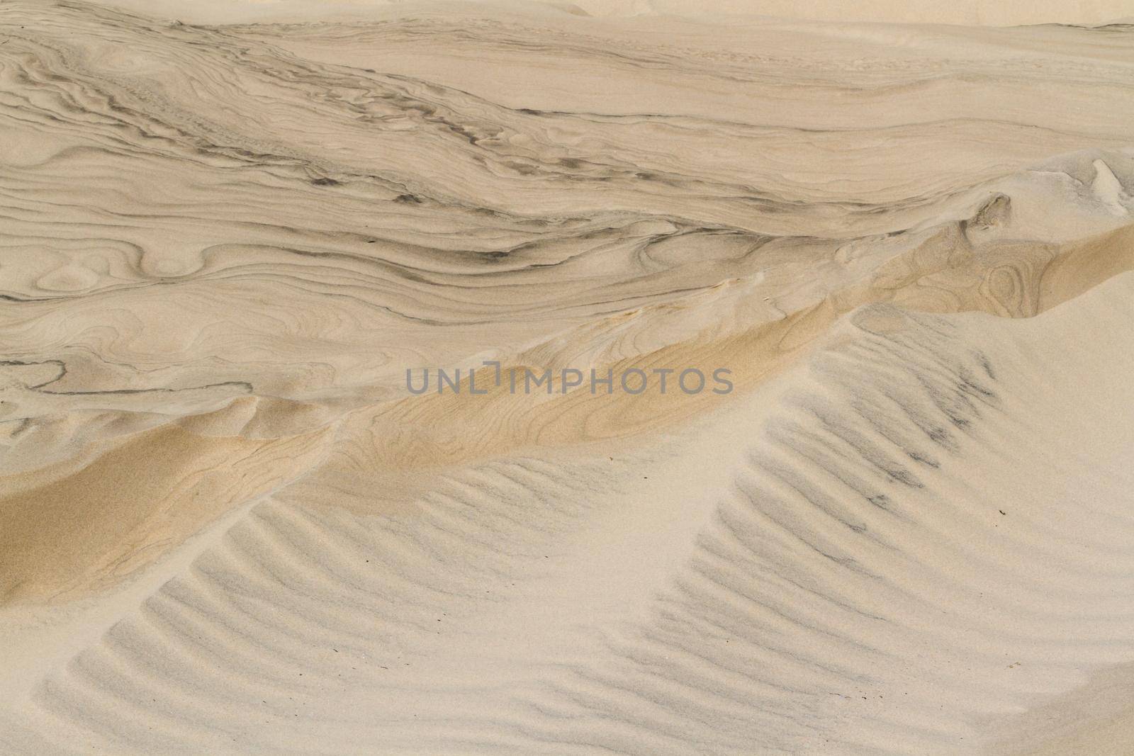 Patterns in the sand on South Padre Island, TX.