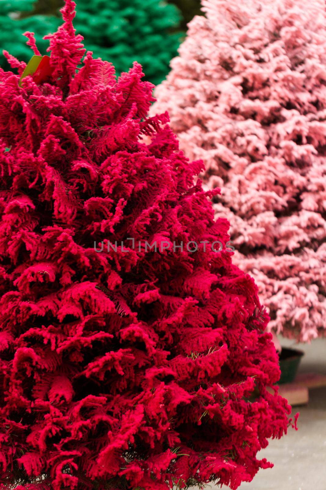 Flocked Christmas Tree with multi colors.