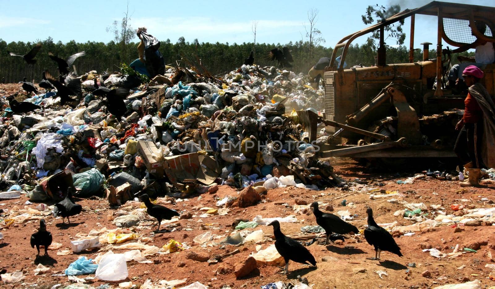 teixeira de freitas, bahia / brazil - may 6, 2008: People are seen reviving the garbage in search of material for recycling in the landfill of the city of Teixeira de Freitas.