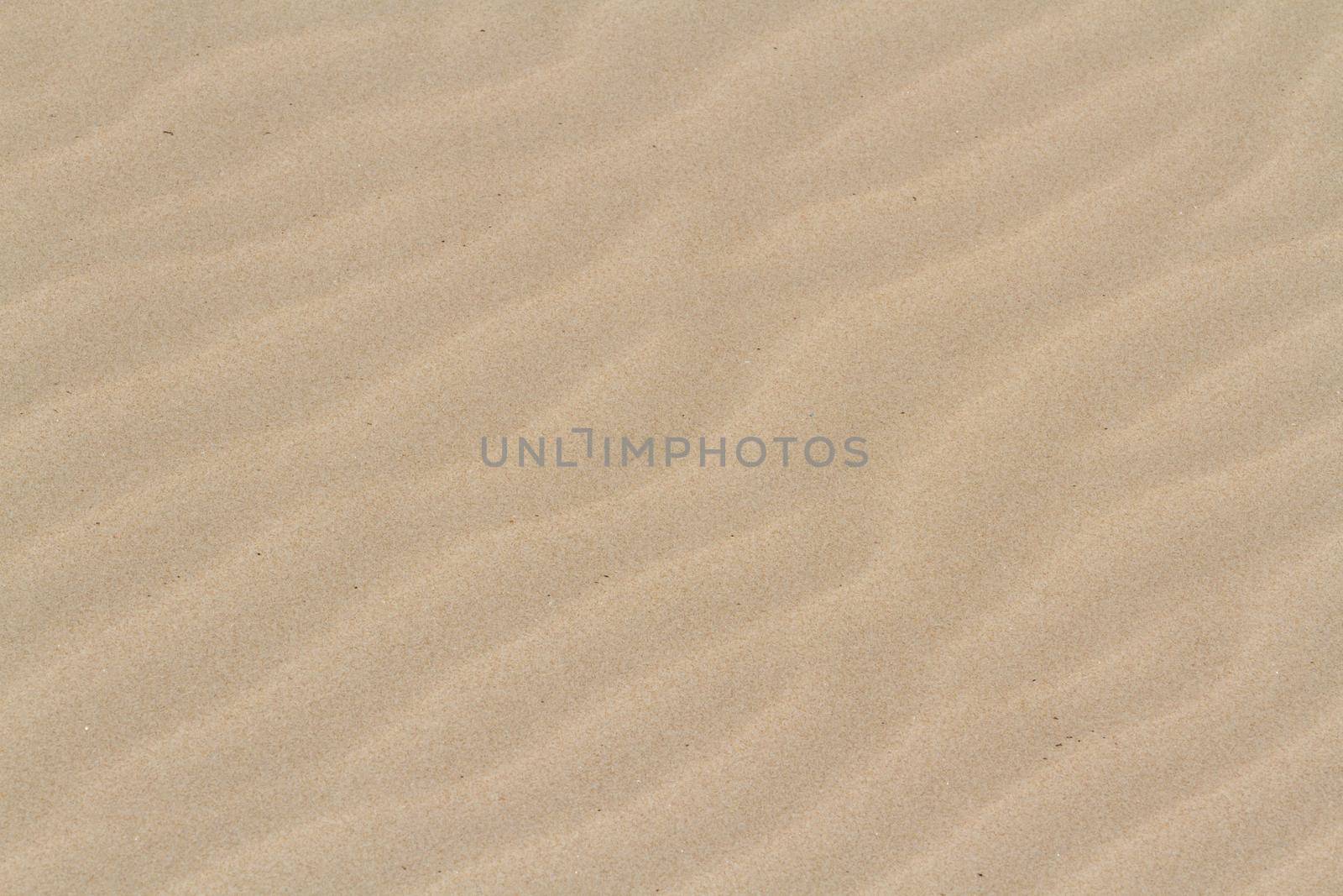 Patterns in the sand on South Padre Island, TX.