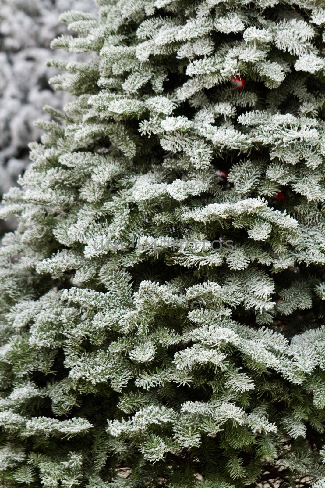 Flocked Christmas Tree with multi colors.
