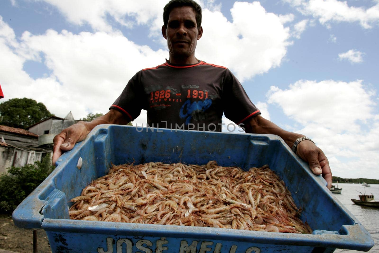 nova vicosa, bahia / brazil - july 8, 2009: fisherman shows shrimp caught in the sea in the Nova Vicosa region, in southern Bahia.