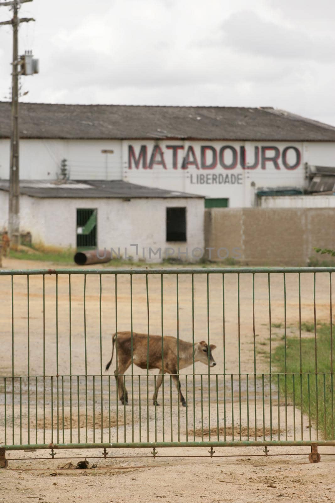 itamaraju, bahia, brazil - october 6, 2009: view of animal slaughterhouse in the city of Itamaraju.