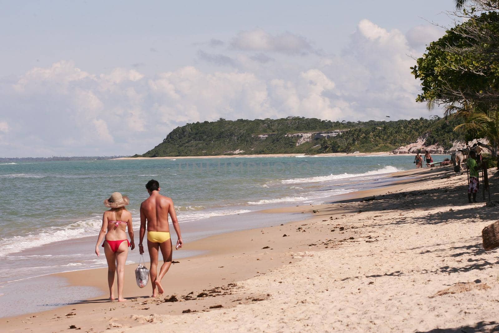 porto seguro, bahia  brazil - january 2, 2010: View of the Espelho Beach in the city of Porto Seguro.