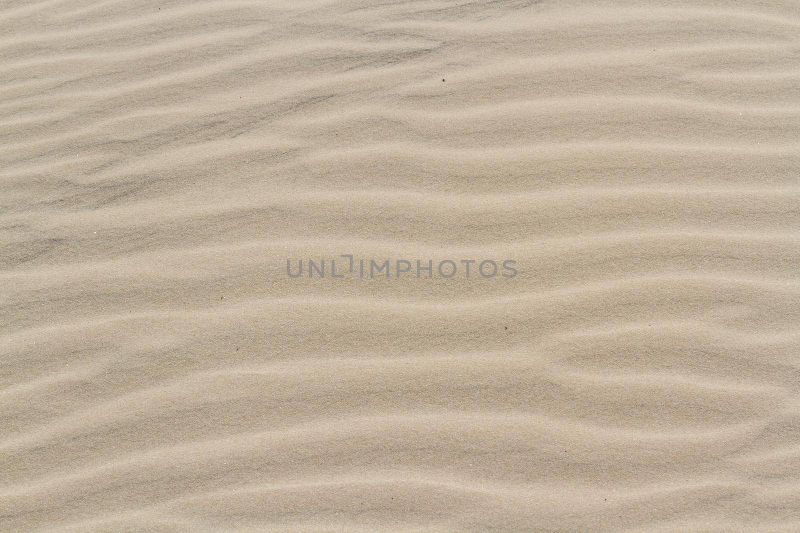 Patterns in the sand on South Padre Island, TX.