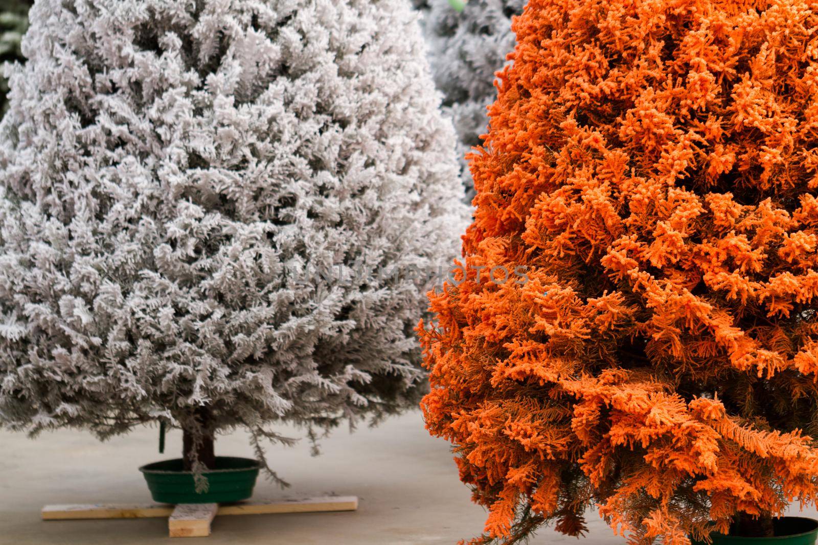 Flocked Christmas Tree with multi colors.
