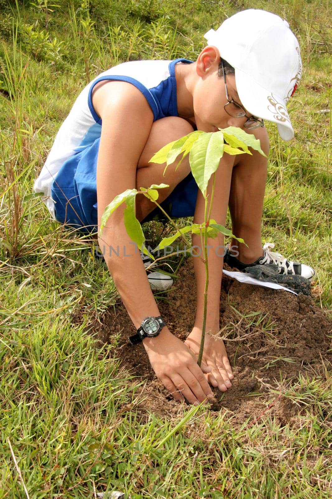 itamaraju, bahia brazil - june 19, 2009: child is seen planting tree in the city of Eunapolis.