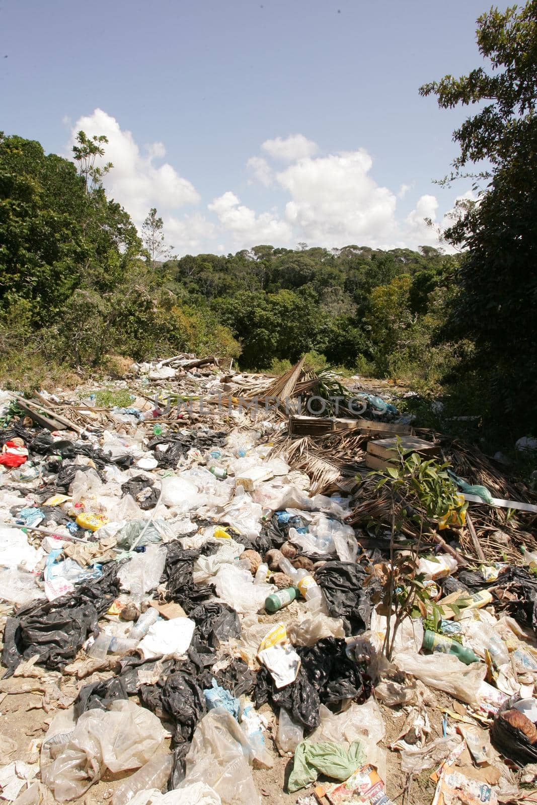 porto seguro, bahia, brazil - June 30, 2010: Domestic garbage dump near the Espelho beach in the municipality of Porto Seguro, in the south of Bahia.