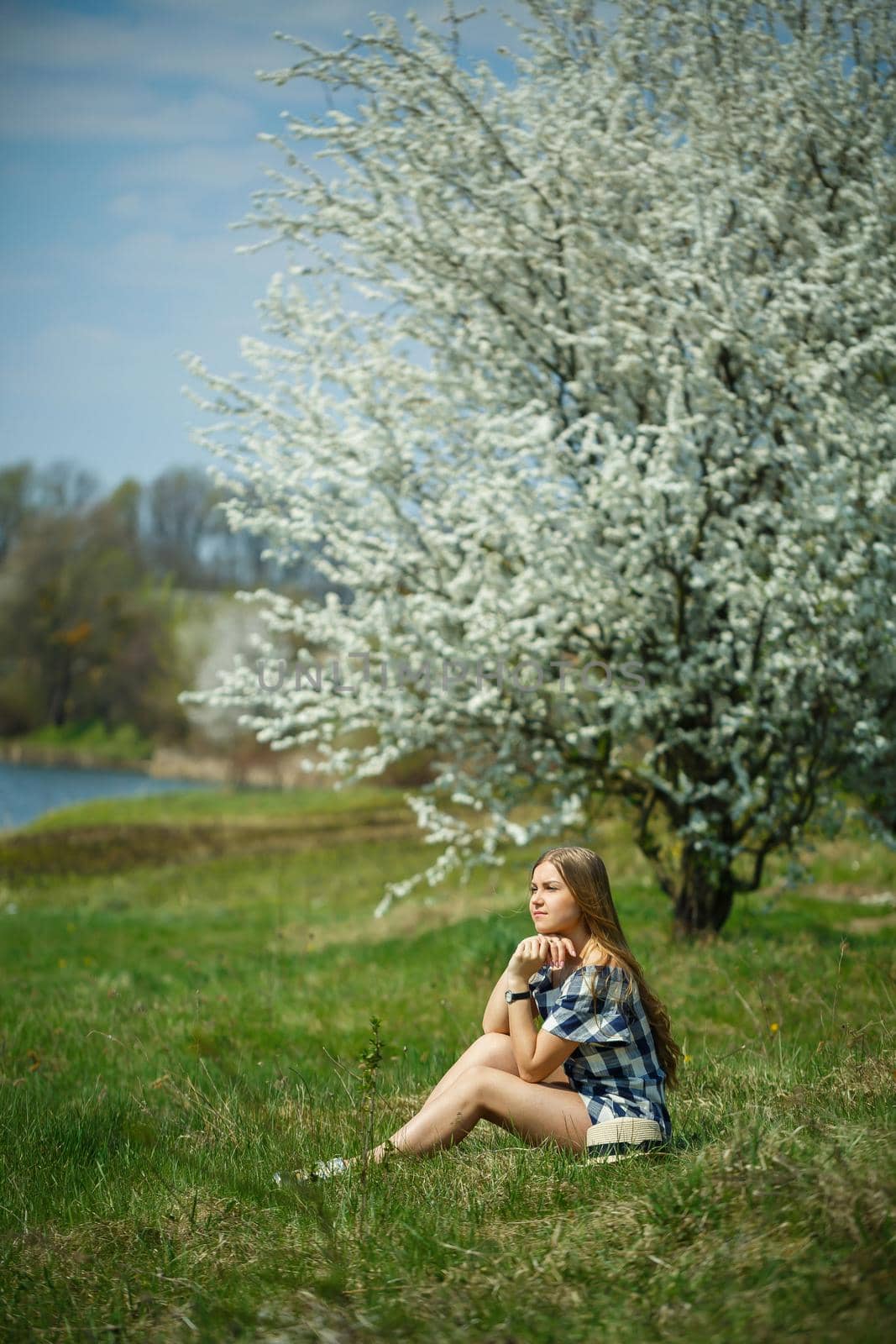beautiful girl in a dress walking in the spring forest where the trees bloom