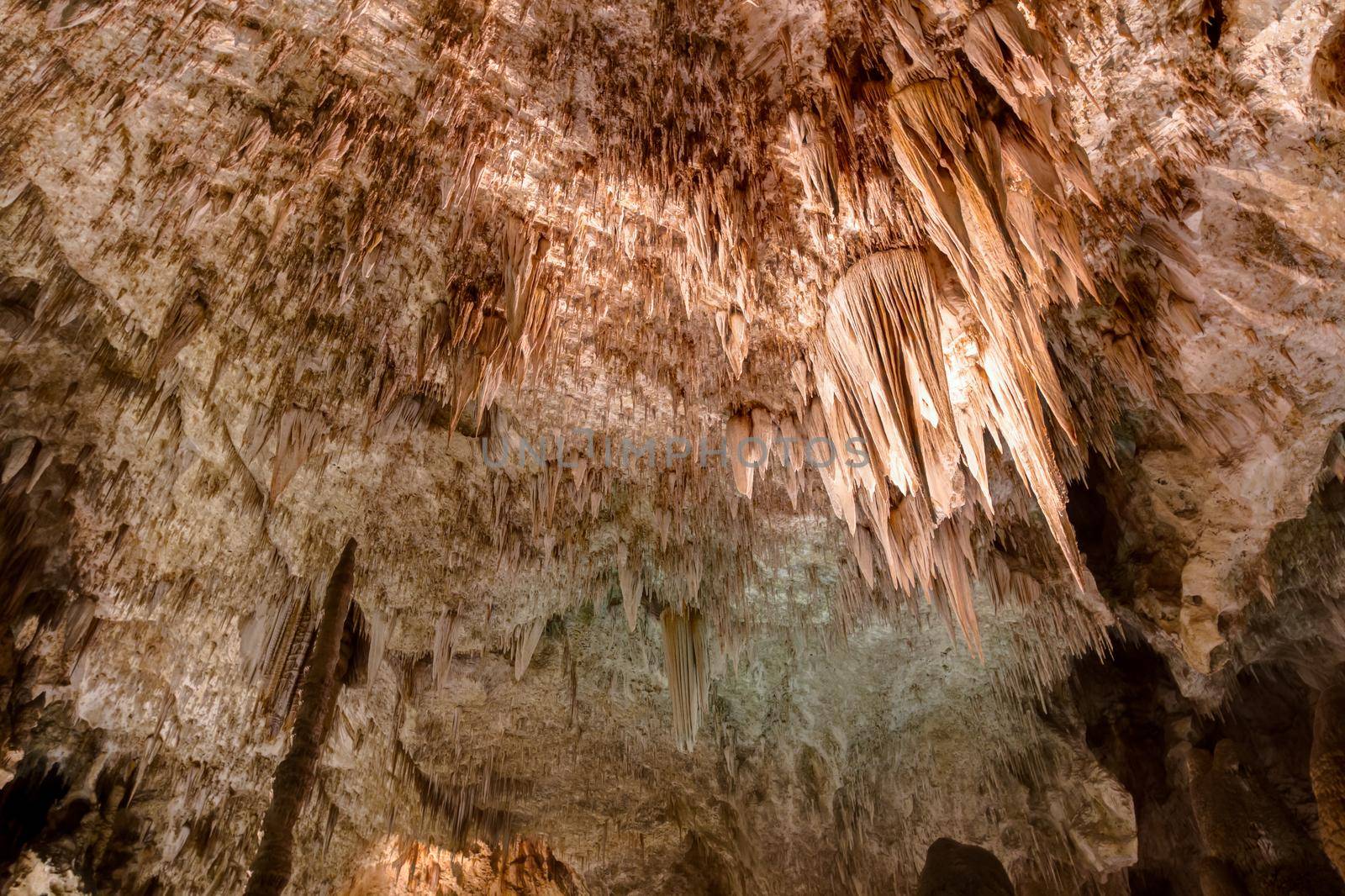 Limestones formations of Guadeloupe Mountains' Carlsbad Caverns.