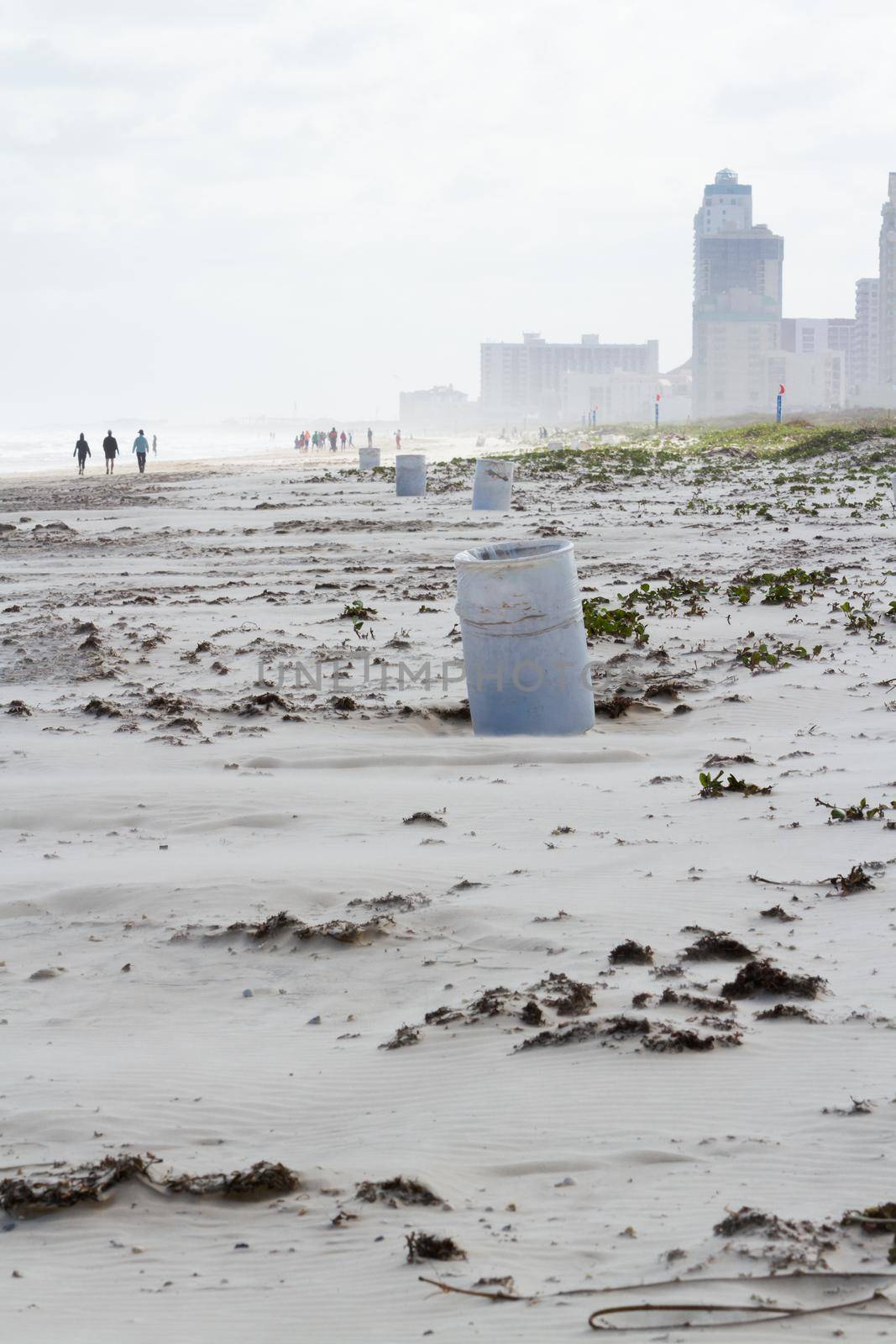 Beach of South Padre Island, TX.