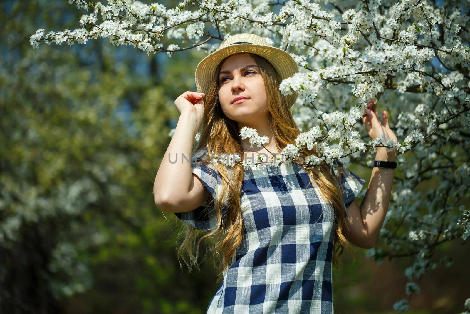 beautiful girl in a dress walking in the spring forest where the trees bloom