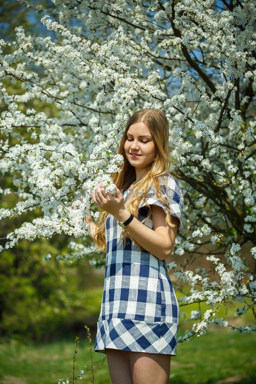 beautiful girl in a dress walking in the spring forest where the trees bloom
