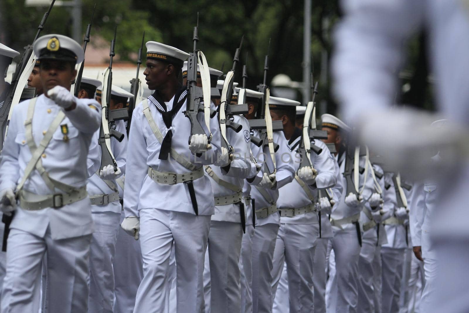 salvador, bahia, brazil - september 7, 2014: Brazilian Navy military personnel are seen during a military parade celebrating the independence of Brazil in the city of Salvador.