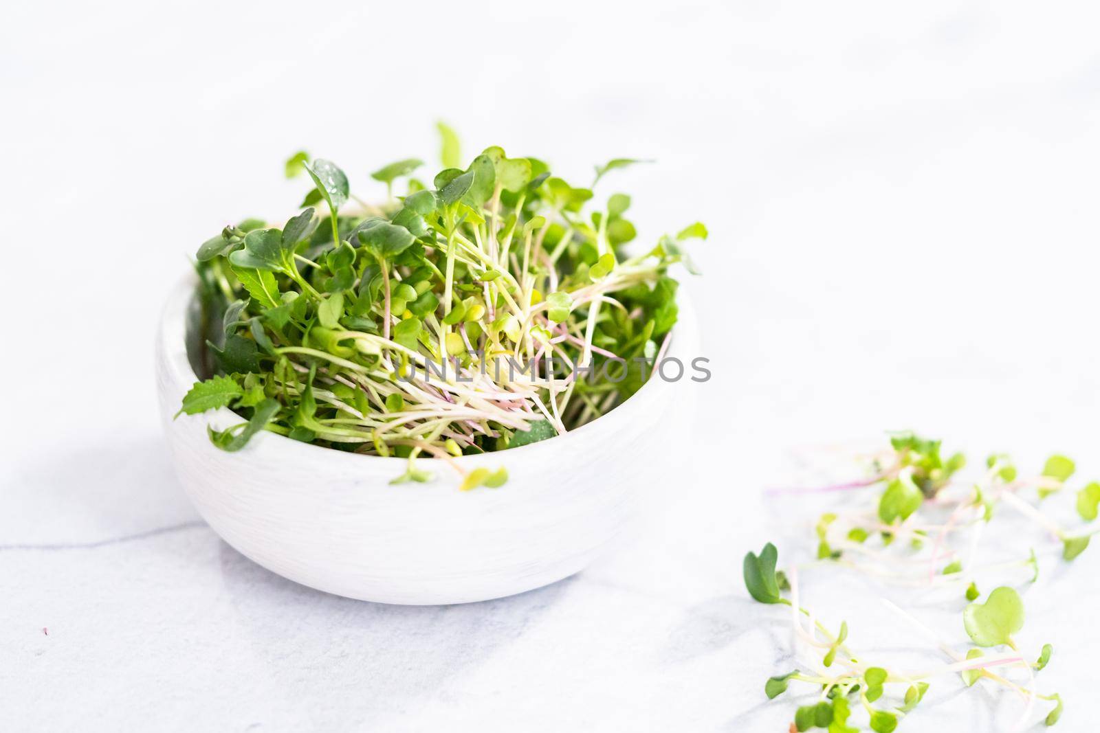 Freshly harvested radish microgreens in a bowl.