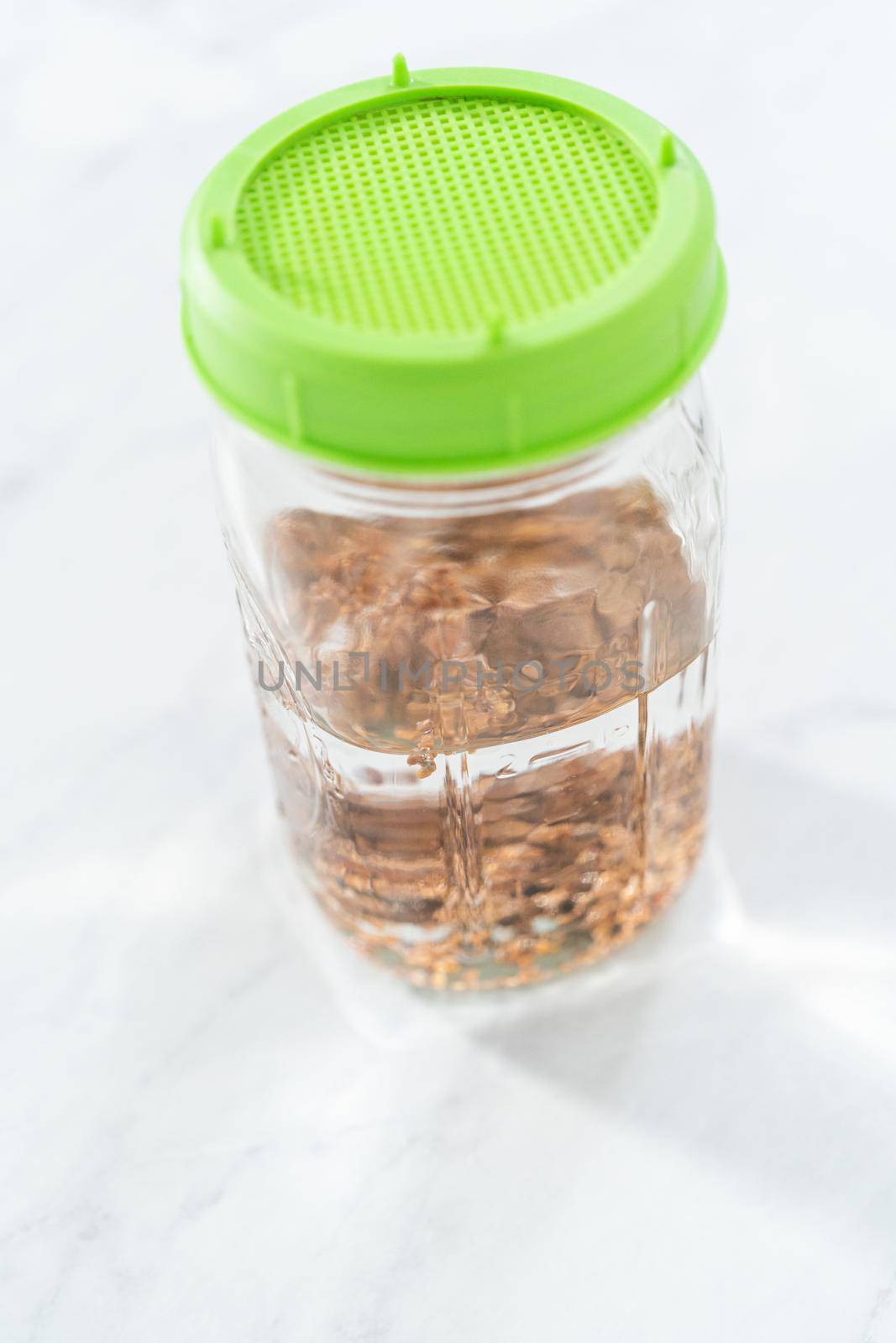 Day 1. Growing organic sprouts in a mason jar with sprouting lid on the kitchen counter.