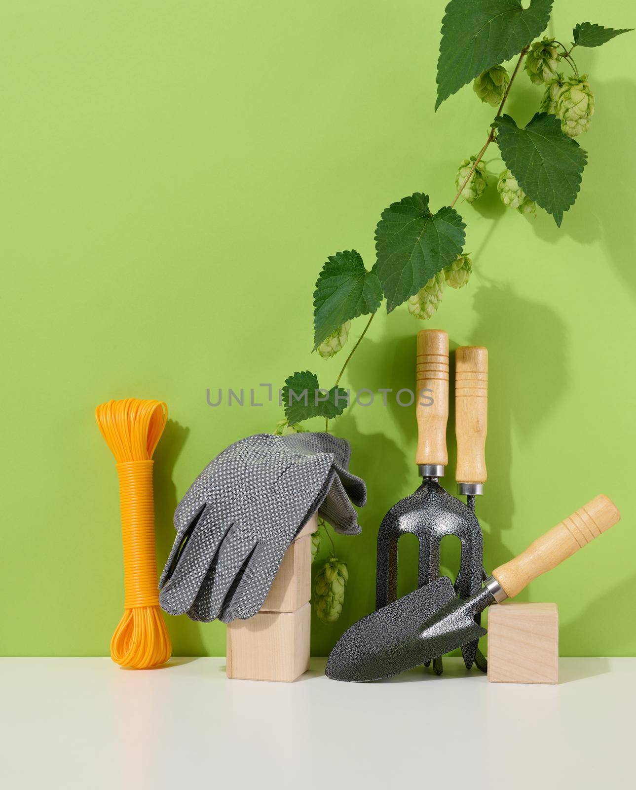 Garden tools for processing beds in the garden and textile gloves on a green background by ndanko