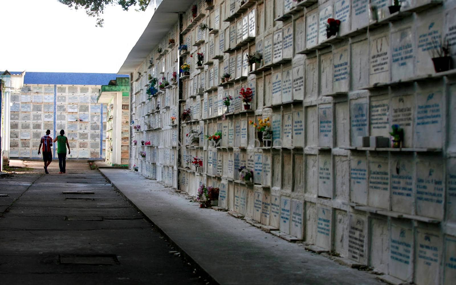 salvador, bahia / brazil - September 18, 2015: Vertical tombs are seen in the Quinta dos Lazaros cemetery in Salvador city.
