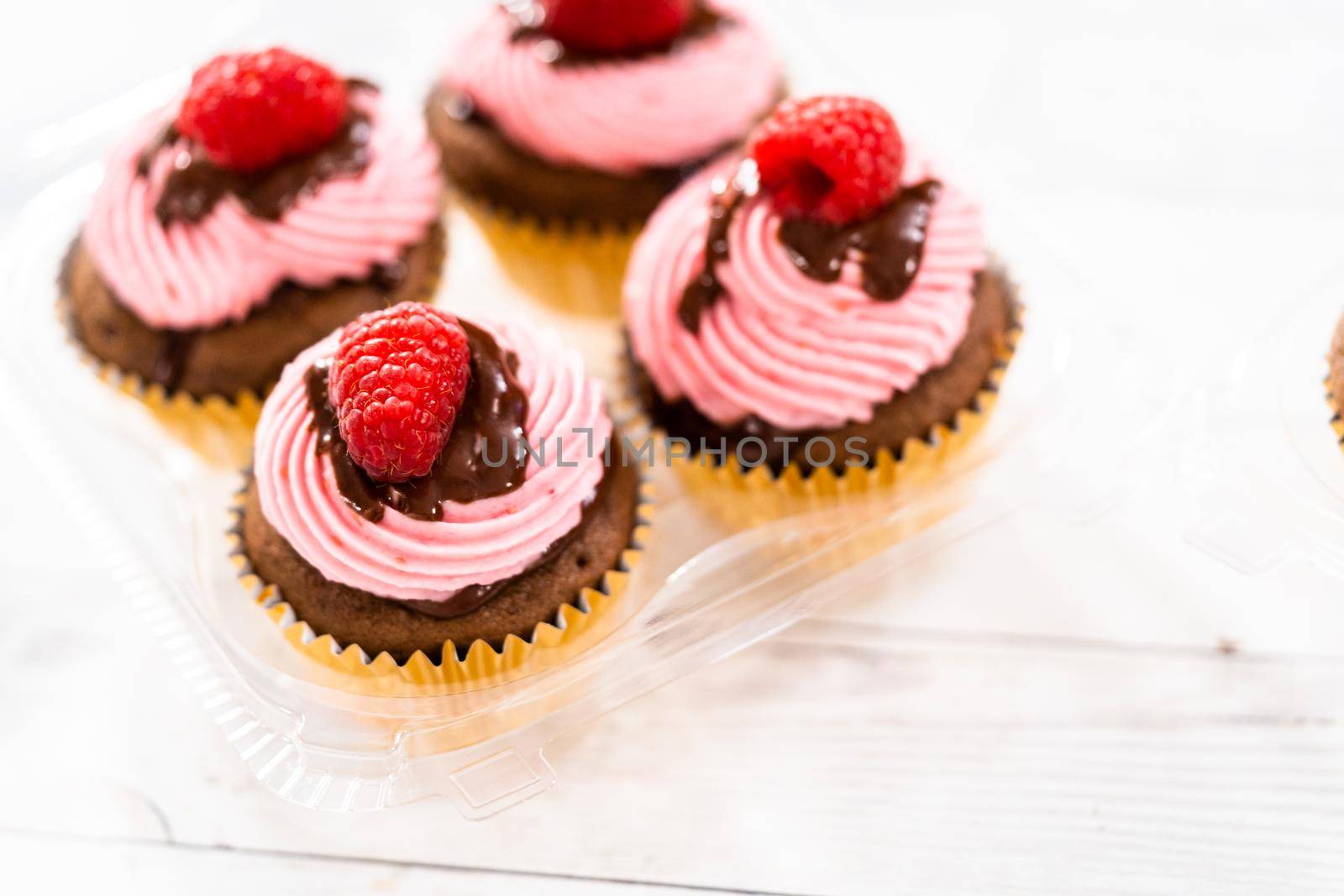 Packaging gourmet chocolate raspberry cupcakes into clear plastic boxes.