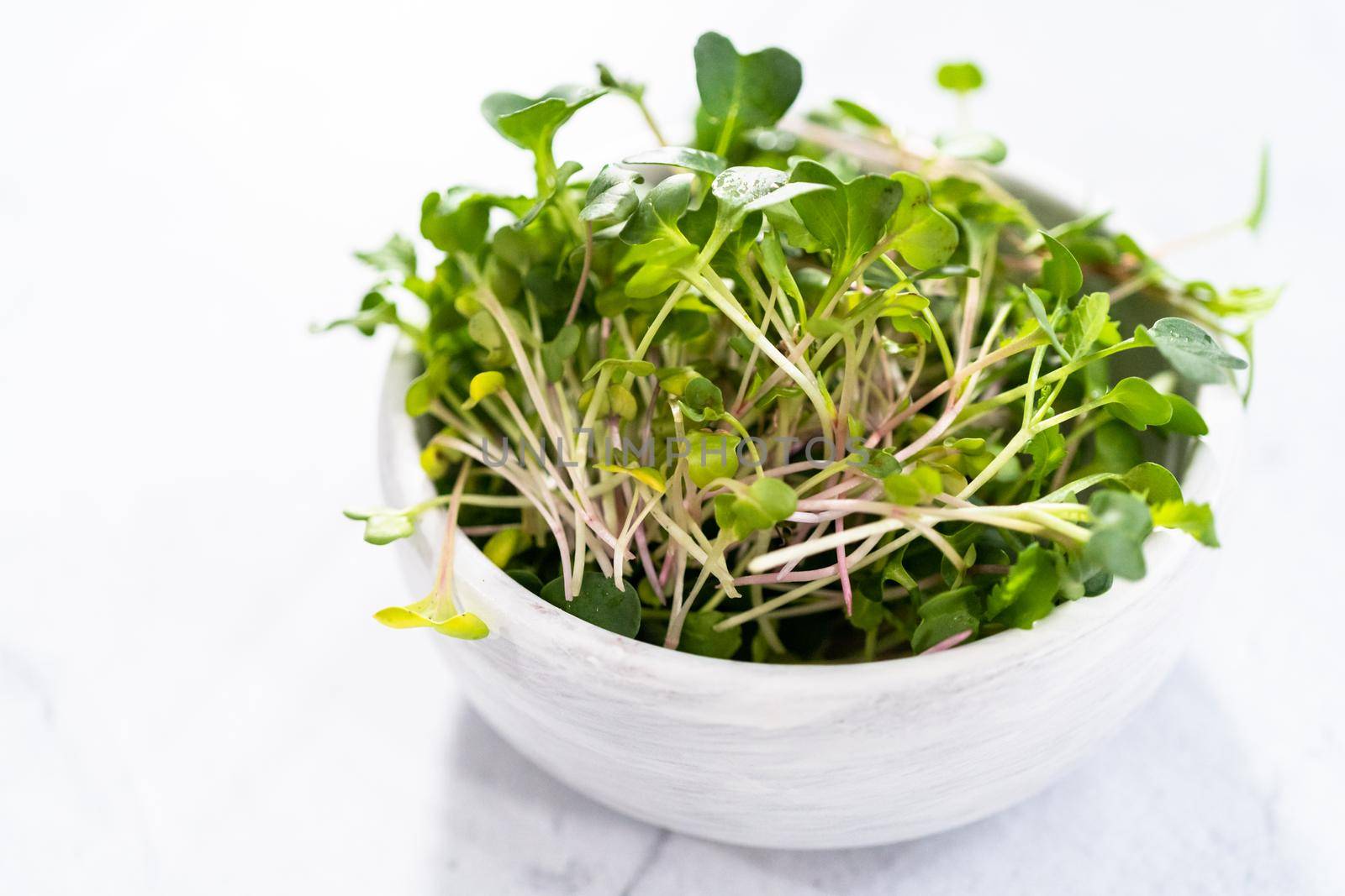 Freshly harvested radish microgreens in a bowl.