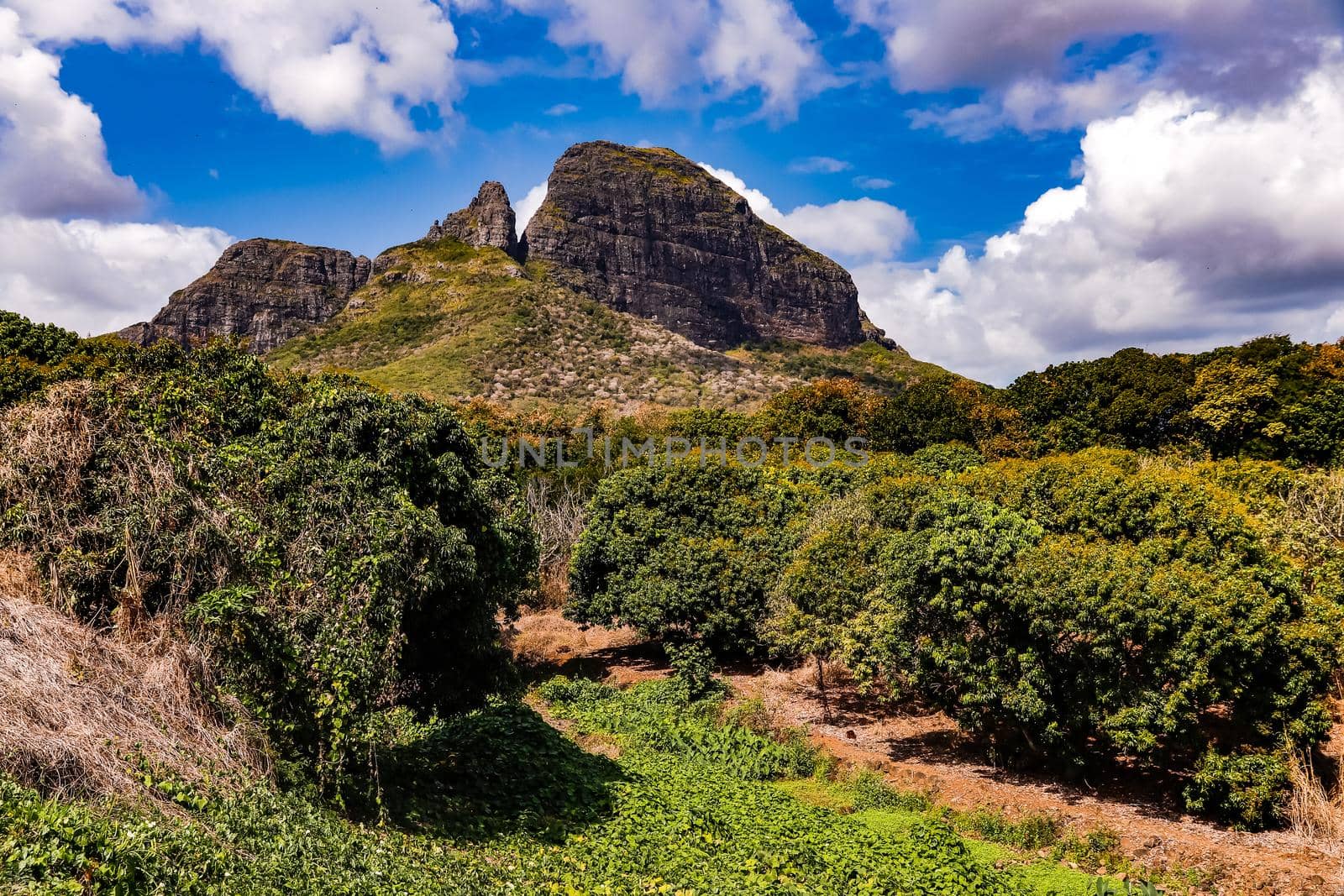 The tropical green nature and the striking rocks on Mauritius enchants in the interior of the island