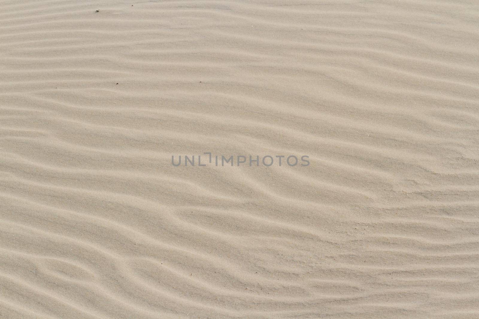 Patterns in the sand on South Padre Island, TX.