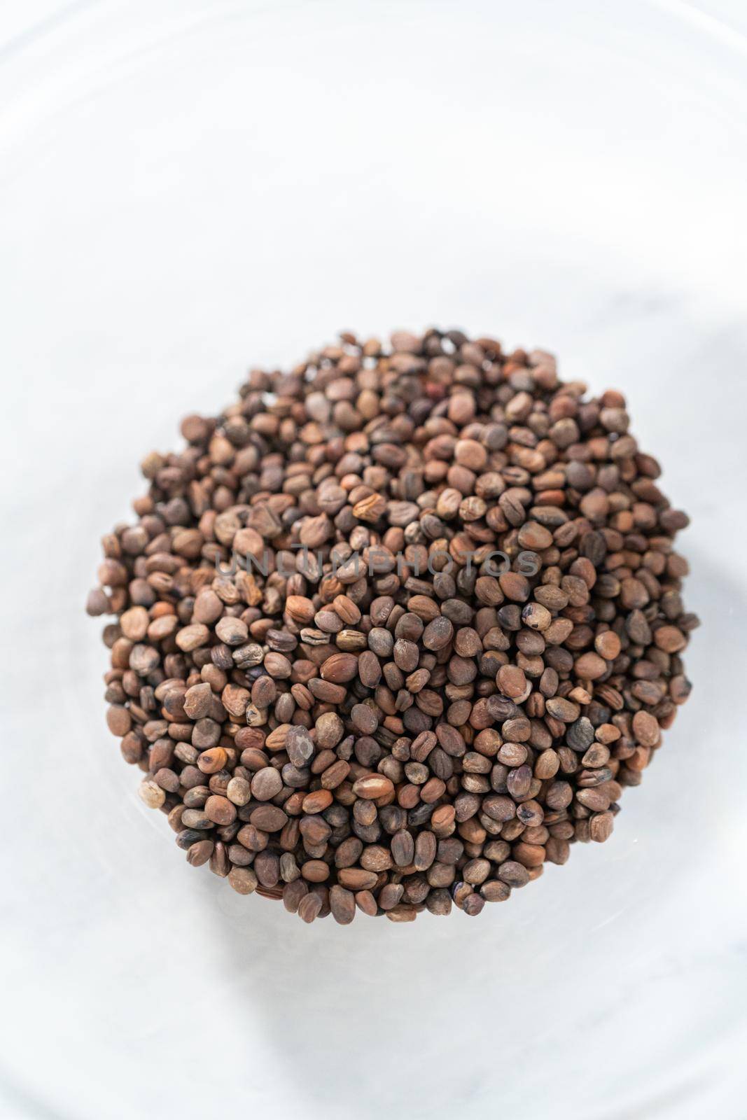 Day 1. Variety of seeds in a small glass bowl for growing sprouts in a jar.