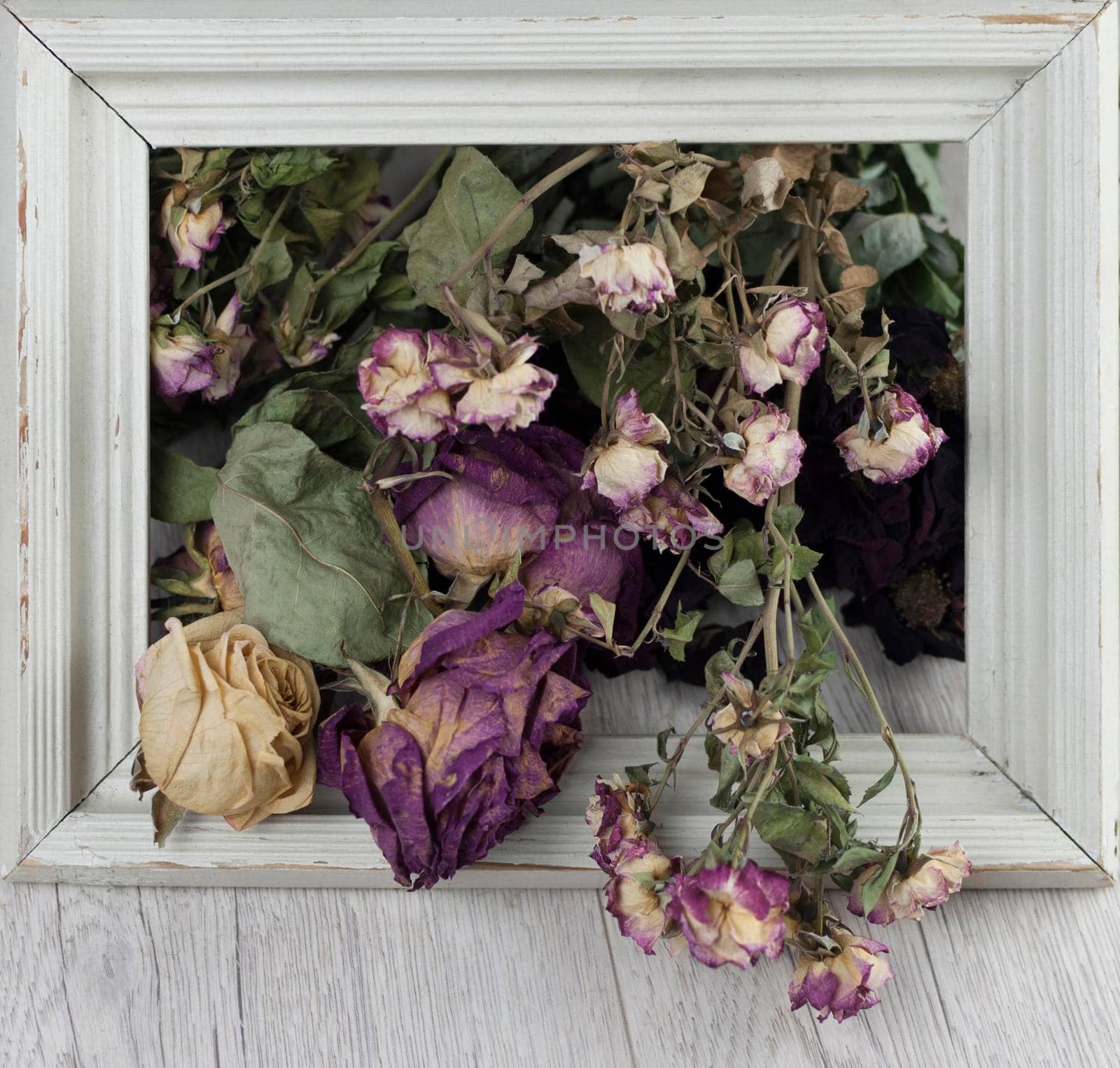 Photo frame with dried flowers roses on wooden background by inxti