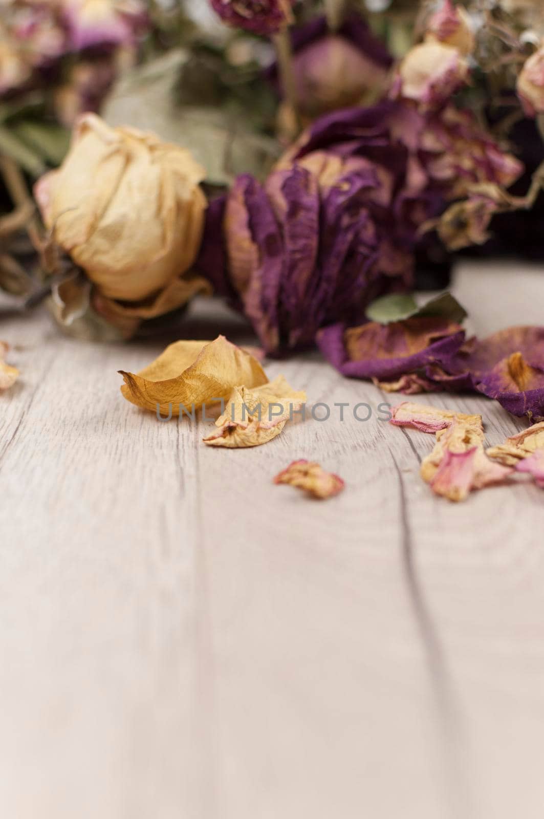bouquet dried roses on wood background with copy space