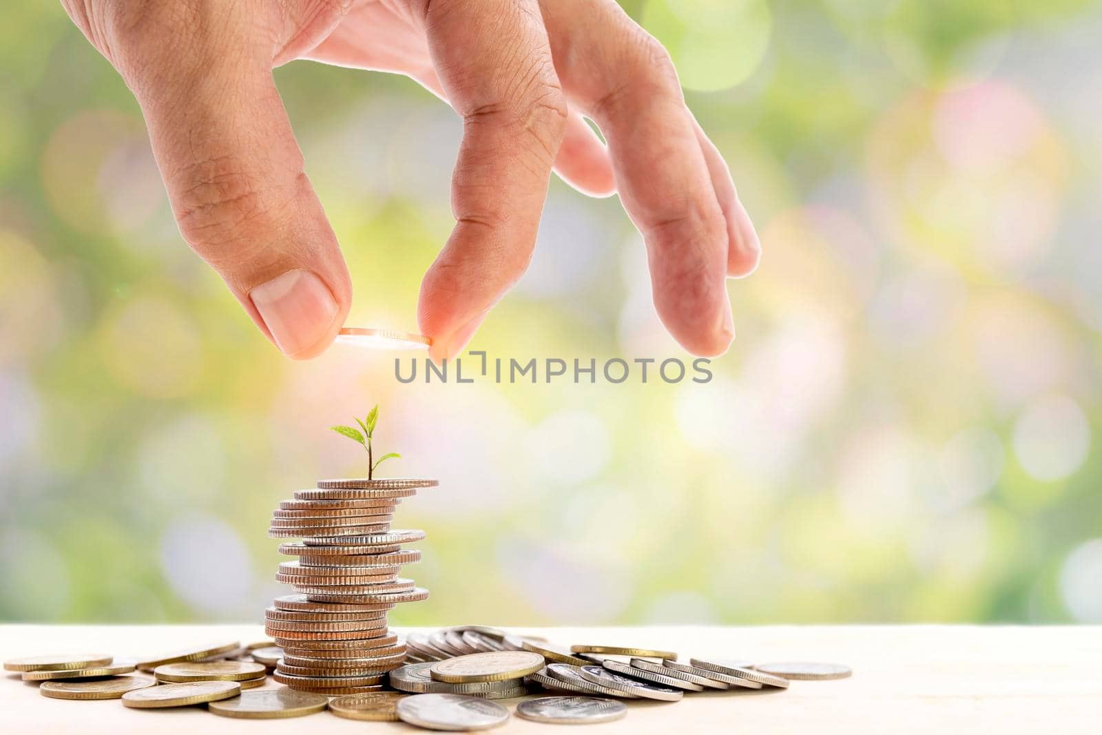 Human hand placing a coin on a pile of coins with a small tree on top, use for for business and financial growth concepts.