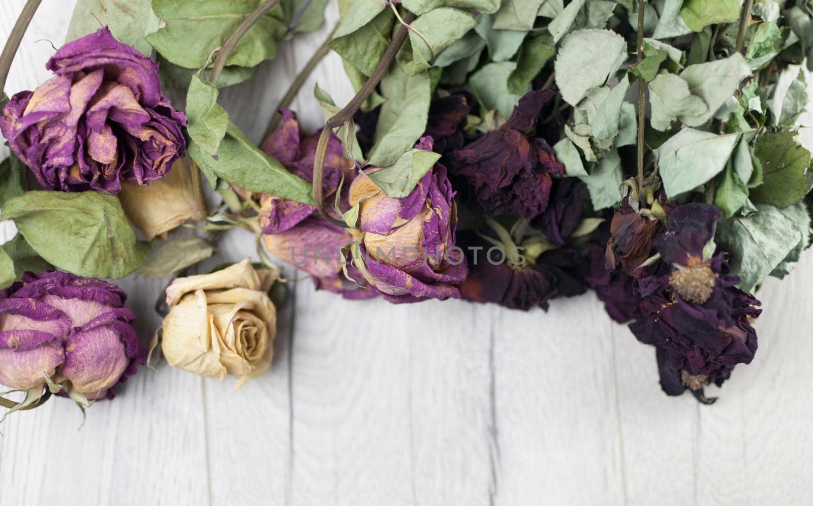 bouquet dried roses on wood background with copy space