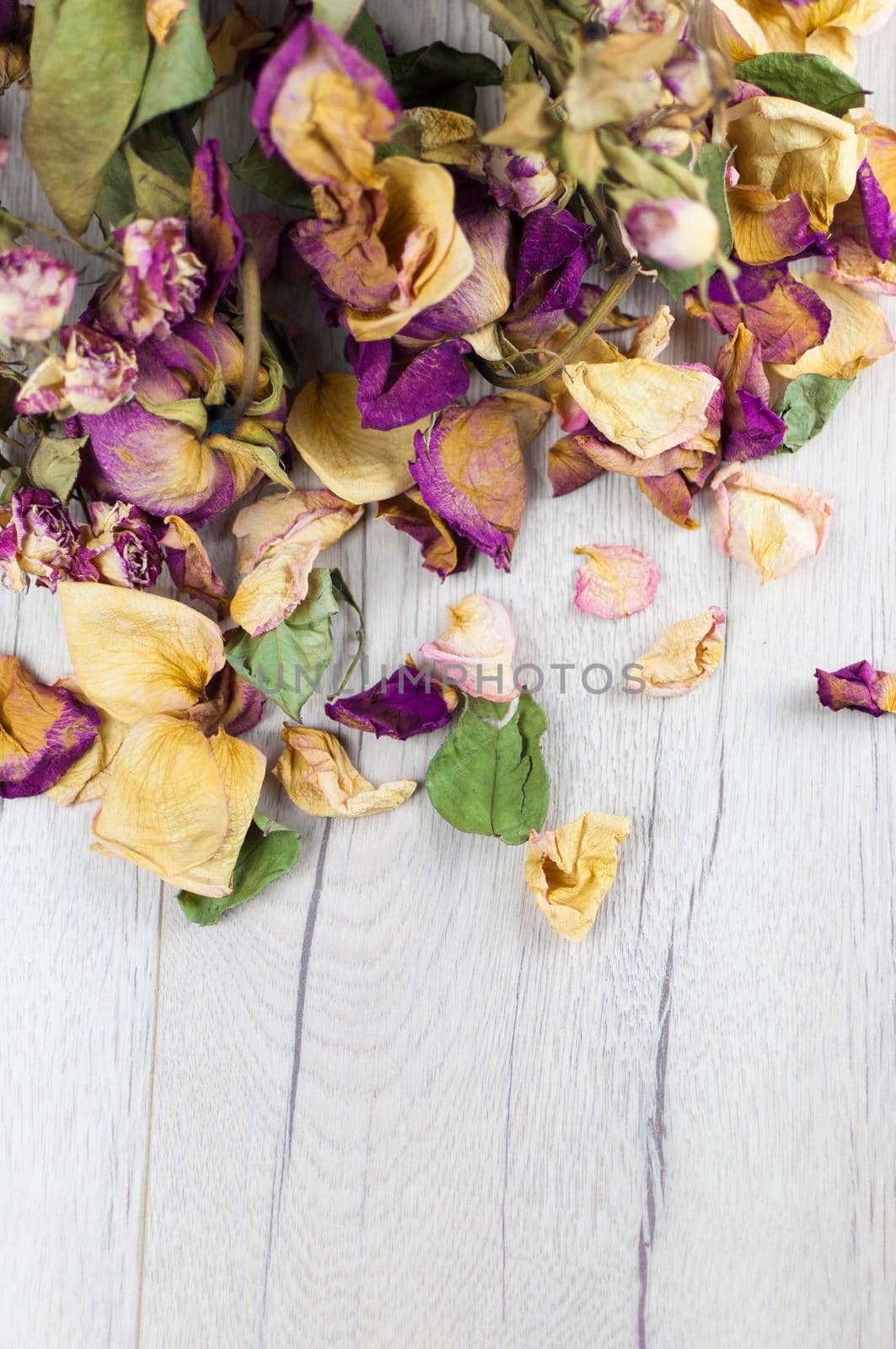 bouquet dried roses on wood background with copy space