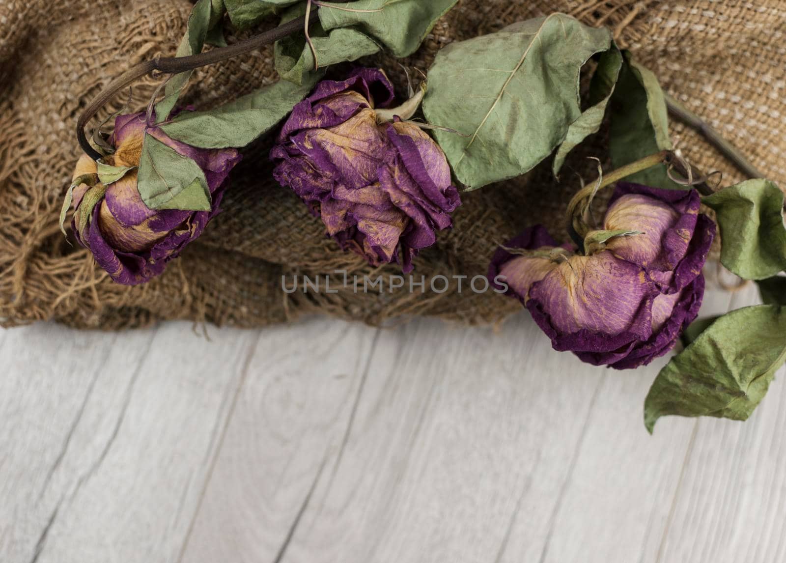 Abstract rose bouquet, Bouquet of dried flowers on old burlap texture  by inxti
